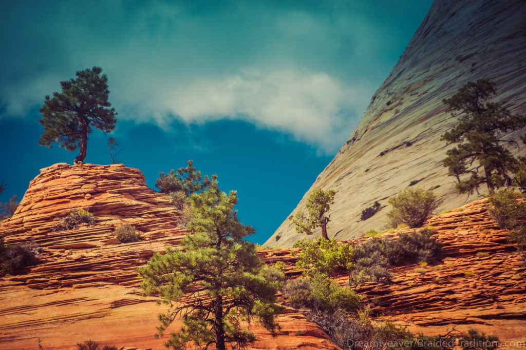 dw-utah-6533