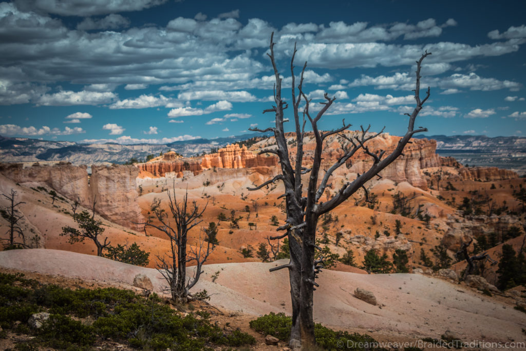 dw-utah-6646