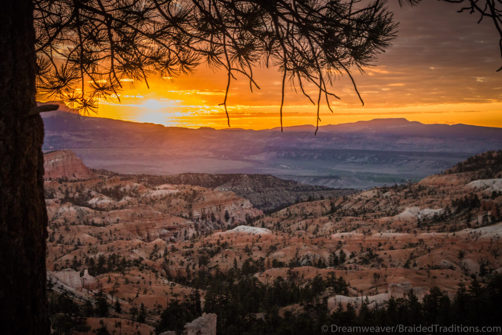 Sunrise over the canyon